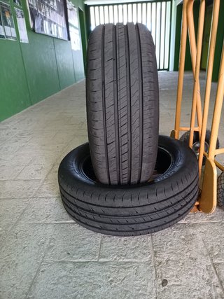 Neumáticos Goodyear EfficientGrip Performance 2