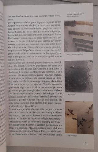 Els ratpenats de Catalunya