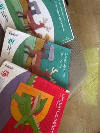 Libros 4 de primaria