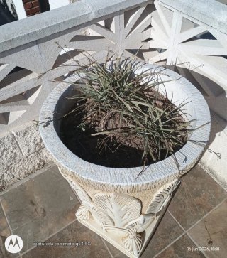 Maceta grande de cerámica y piedra