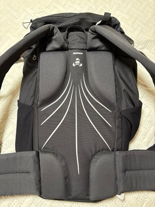 Mochila Quechua 30L Negra