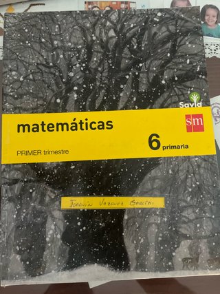 Libro Matemáticas 6 primaria Primer y Segundo Tri