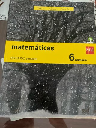 Libro Matemáticas 6 primaria Primer y Segundo Tri