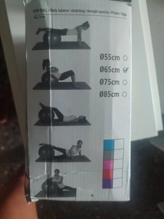 Pelota Pilates/Yoga 65cm + Bomba