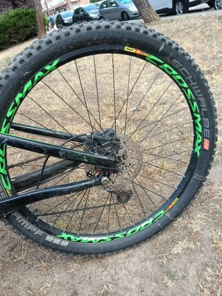 Bici Specialized Stuntjumper Elite Verde