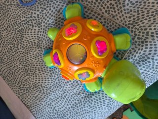 Tortuga Juguete Musical Infantil