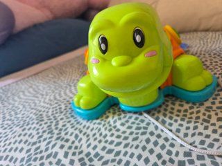 Tortuga Juguete Musical Infantil