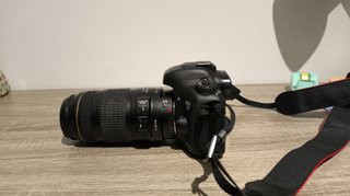 Canon 7D Mark II + Tamron 150-600mm