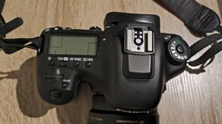 Canon 7D Mark II + Tamron 150-600mm