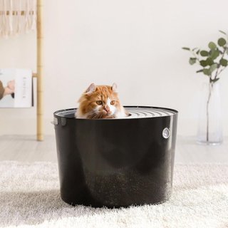 Iris Ohyama caja arena gato cubierta