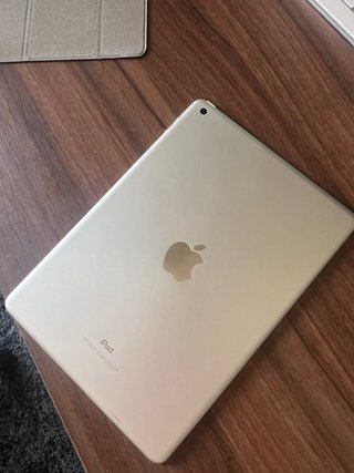 Apple iPad Plata