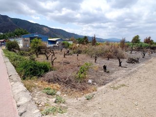 Servicio de desbroce y limpieza de jardines