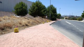 Servicio de desbroce y limpieza de jardines