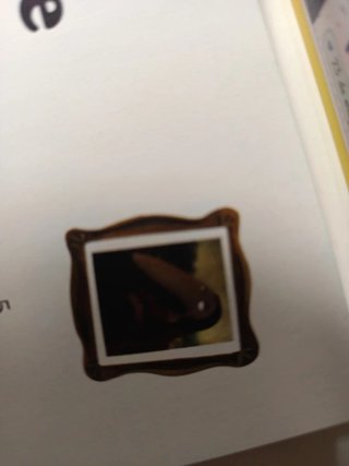 Libro de: mis historias de lobo