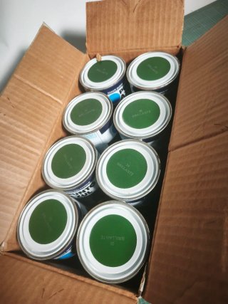 Caja 8 latas esmalte Bruguer Verde Valle