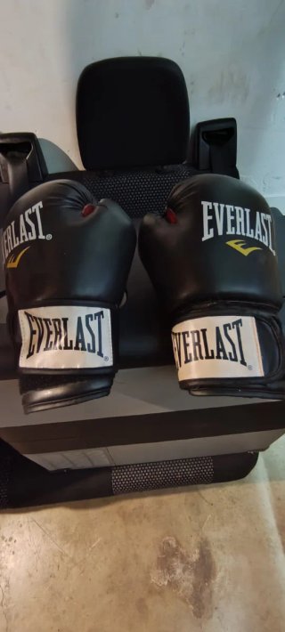 Saco de boxeo Everlast 1910
