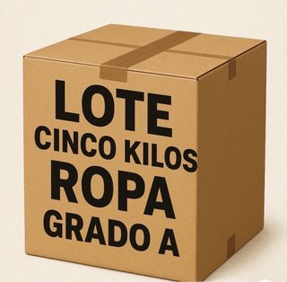 Lote 6kg Ropa Grado A para maggie