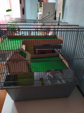 Jaula para hámster con muchos accesorios