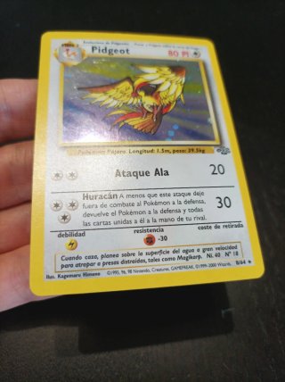Pidgeot Holo Jungla Unlimited Español 8/64