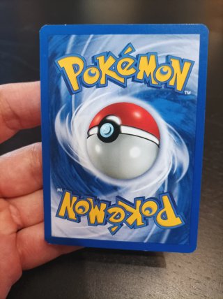 Pidgeot Holo Jungla Unlimited Español 8/64