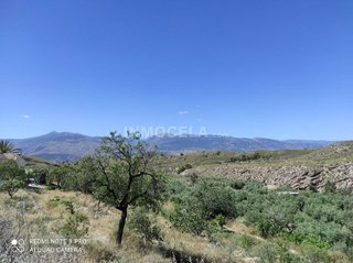 Cortijo en venta en Lúcar