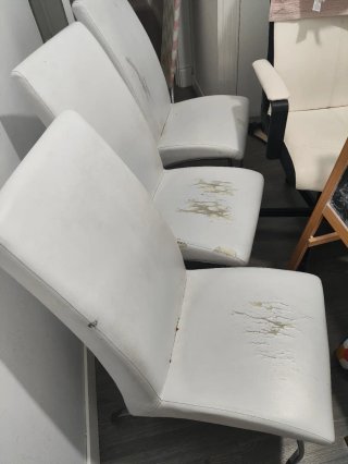 Sillas de Salón Blancas