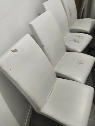 Sillas de Salón Blancas