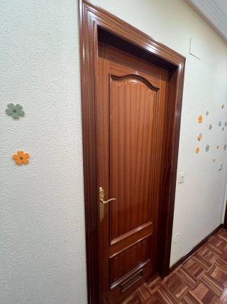 Puerta de interior de madera
