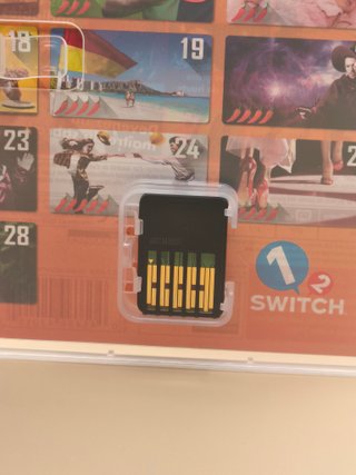1-2 Switch Nintendo Switch