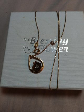 Colgante Rosa de Jericó Cadena Oro 14k 50cm