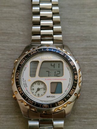 Raro Citizen Promaster Vintage C350 Windsurfer