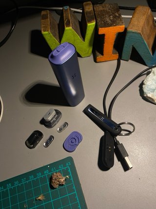 Pax +