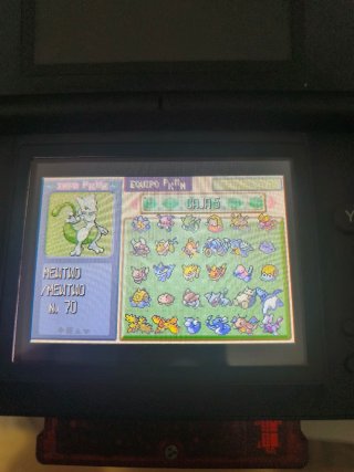 JOYA Pokémon Rubí Pokedex completa