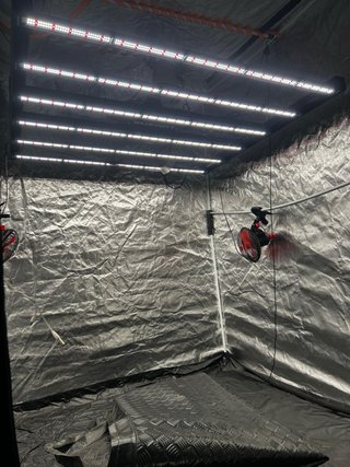 KIT CULTIVO INDOOR COMPLETO 2x2 m + LED Lumatek Ze