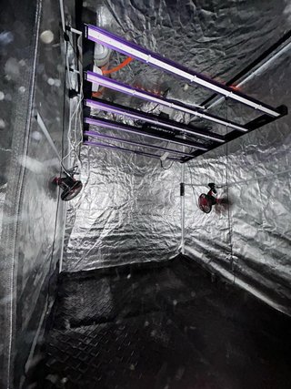 KIT CULTIVO INDOOR COMPLETO 2x2 m + LED Lumatek Ze