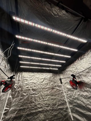 KIT CULTIVO INDOOR COMPLETO 2x2 m + LED Lumatek Ze