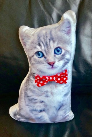 Cojín de gato viscosa - Nuevo-