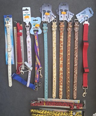 Lote 30 Correas, Collares para perros y gatos.