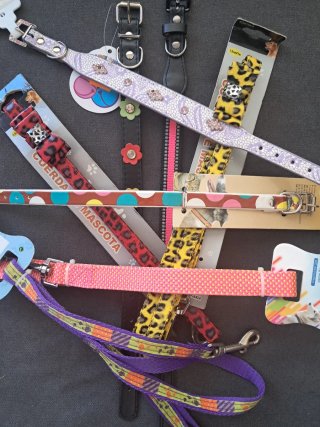 Lote 30 Correas, Collares para perros y gatos.