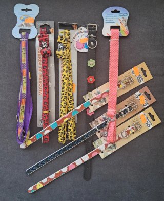 Lote 30 Correas, Collares para perros y gatos.