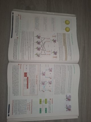 Biología y Geología, 4 ESO, Andalucía