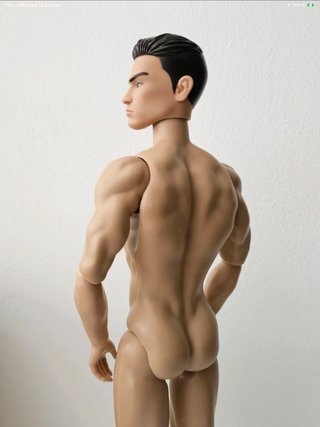 Cuerpo figura 1/6 articulado musculada
