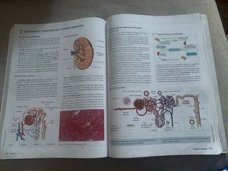 Anatomía Aplicada