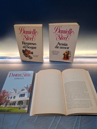 Lote 4 Libros Danielle Stell