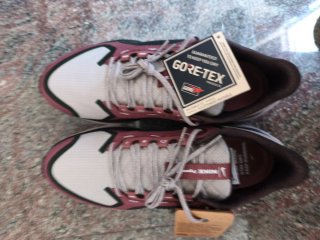 Nike Pegasus 41 GTX Gore-Tex Zapatillas Running