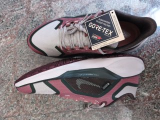 Nike Pegasus 41 GTX Gore-Tex Zapatillas Running