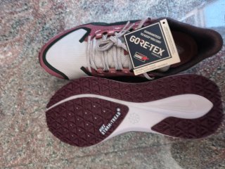 Nike Pegasus 41 GTX Gore-Tex Zapatillas Running