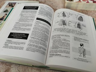 Lote 4 Libros Medicina