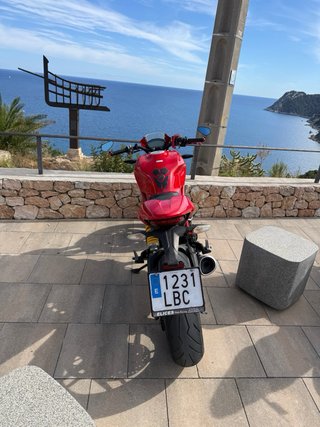 Ducati Monster 797 Roja