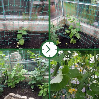 GardenGloss red soporte malla cultivo 2.5x2m verde